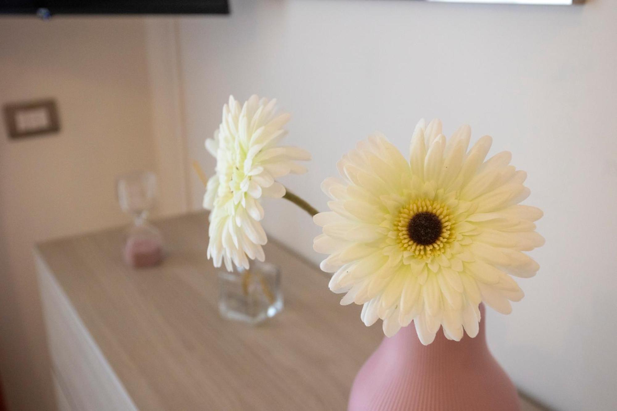 Emy House Sorrento公寓 外观 照片